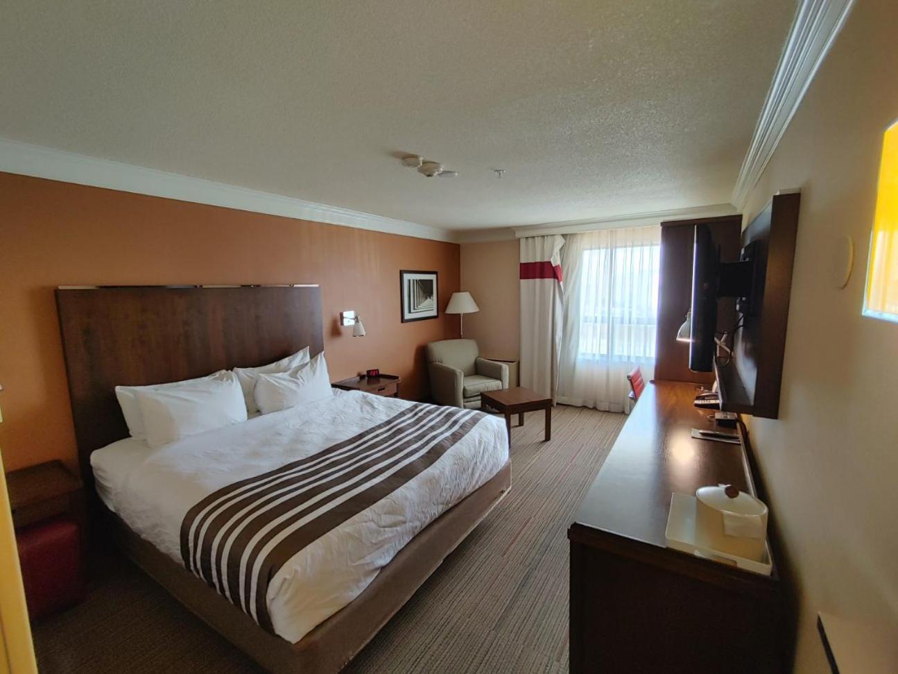 Waterloo Suites Hotel, Trademark Collection By Wyndham Екстериор снимка
